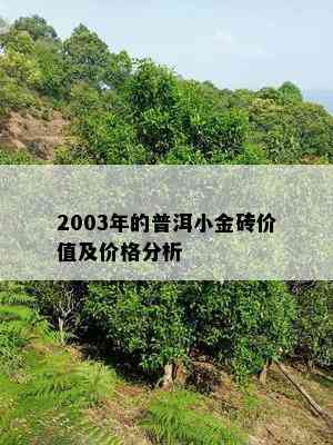 2003年的普洱小金砖价值及价格分析