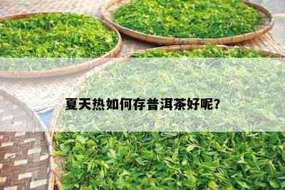 夏天热如何存普洱茶好呢？