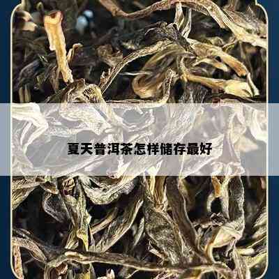 夏天普洱茶怎样储存更好