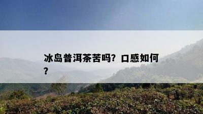 冰岛普洱茶苦吗？口感如何？