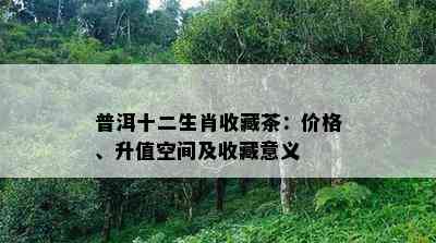 普洱十二生肖收藏茶：价格、升值空间及收藏意义