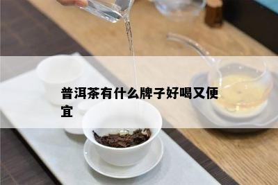 普洱茶有什么牌子好喝又便宜