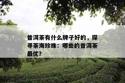 普洱茶有什么牌子好的，探寻茶海珍珠：哪些的普洱茶更优？