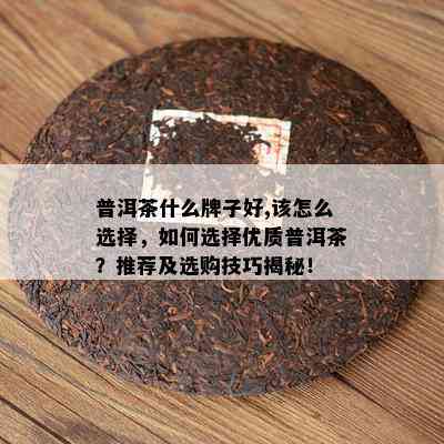 普洱茶什么牌子好,该怎么选择，如何选择优质普洱茶？推荐及选购技巧揭秘！