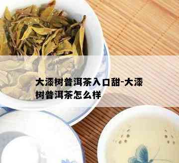 大漆树普洱茶入口甜-大漆树普洱茶怎么样