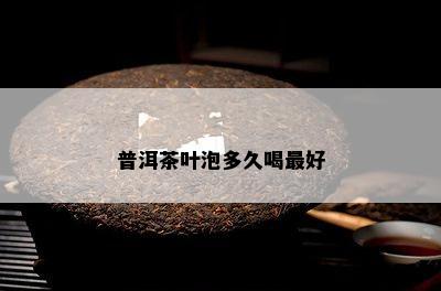 普洱茶叶泡多久喝更好