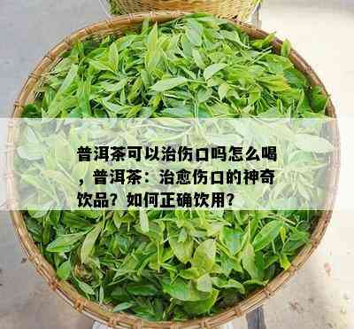 普洱茶可以治伤口吗怎么喝，普洱茶：治愈伤口的神奇饮品？如何正确饮用？