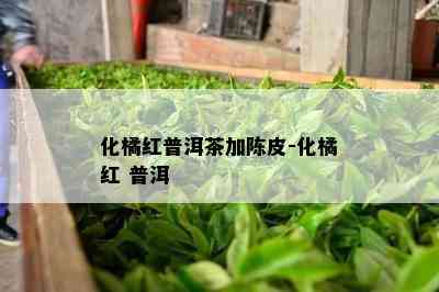 化橘红普洱茶加陈皮-化橘红 普洱