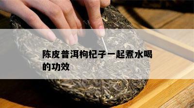 陈皮普洱枸杞子一起煮水喝的功效