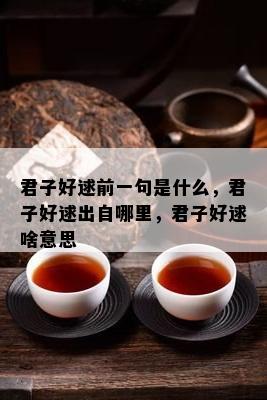 君子好逑前一句是什么，君子好逑出自哪里，君子好逑啥意思