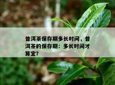 普洱茶保存期多长时间，普洱茶的保存期：多长时间才算宜？