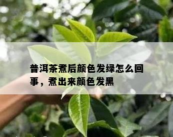 普洱茶煮后颜色发绿怎么回事，煮出来颜色发黑