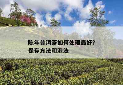 陈年普洱茶如何处理更好？保存方法和泡法