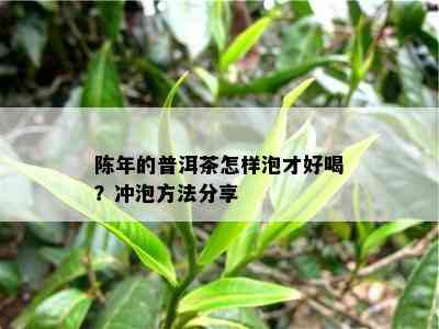 陈年的普洱茶怎样泡才好喝？冲泡方法分享