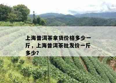 上海普洱茶拿货价格多少一斤，上海普洱茶批发价一斤多少？