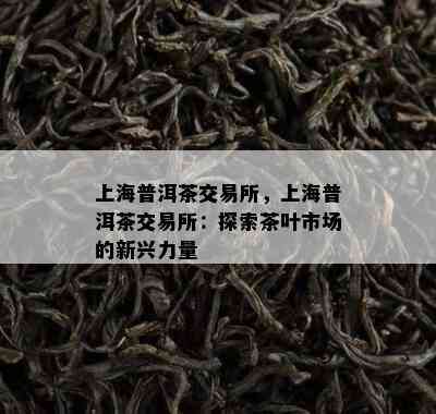 上海普洱茶交易所，上海普洱茶交易所：探索茶叶市场的新兴力量