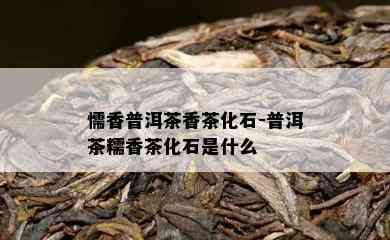 懦香普洱茶香茶化石-普洱茶糯香茶化石是什么