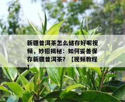 新疆普洱茶怎么储存好呢视频，妙招揭秘：如何妥善保存新疆普洱茶？【视频教程】