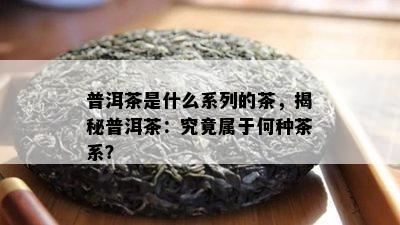 普洱茶是什么系列的茶，揭秘普洱茶：究竟属于何种茶系？