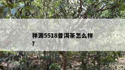 祥源5518普洱茶怎么样？