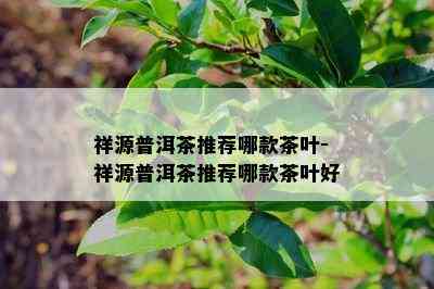 祥源普洱茶推荐哪款茶叶-祥源普洱茶推荐哪款茶叶好