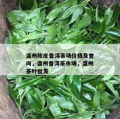 温州陈皮普洱茶场价格及查询，温州普洱茶市场，温州茶叶批发