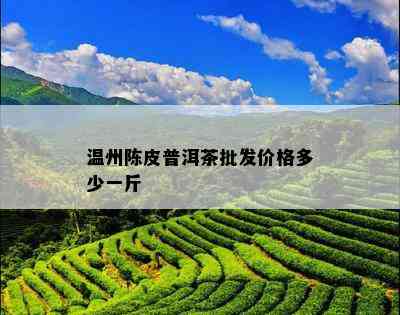 温州陈皮普洱茶批发价格多少一斤