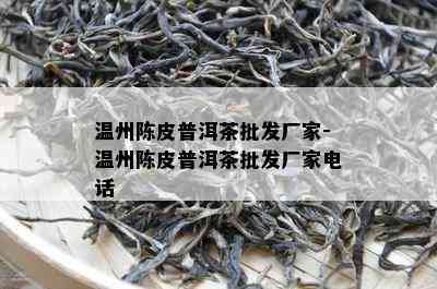 温州陈皮普洱茶批发厂家-温州陈皮普洱茶批发厂家电话