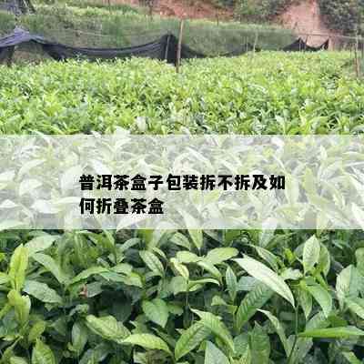 普洱茶盒子包装拆不拆及如何折叠茶盒