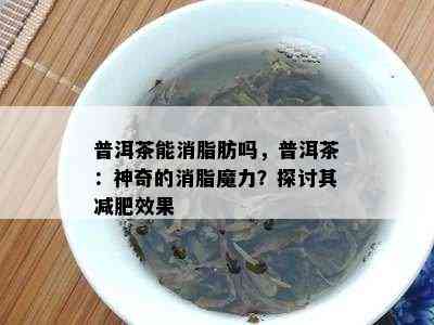 普洱茶能消脂肪吗，普洱茶：神奇的消脂魔力？探讨其减肥效果