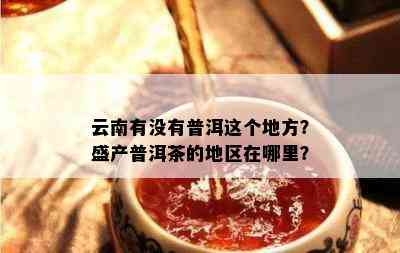 云南有没有普洱这个地方？盛产普洱茶的地区在哪里？