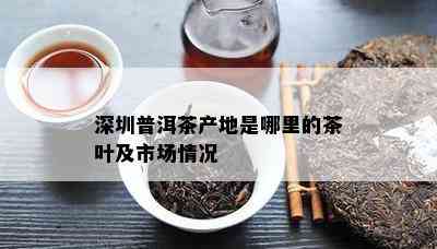 深圳普洱茶产地是哪里的茶叶及市场情况