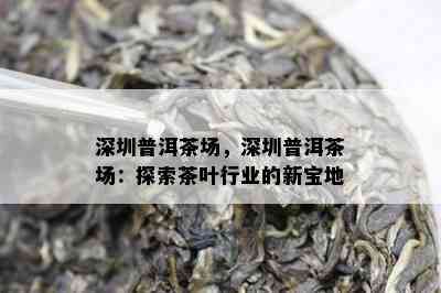 深圳普洱茶场，深圳普洱茶场：探索茶叶行业的新宝地