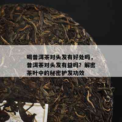 喝普洱茶对头发有好处吗，普洱茶对头发有益吗？解密茶叶中的秘密护发功效