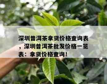 深圳普洱茶拿货价格查询表，深圳普洱茶批发价格一览表：拿货价格查询！