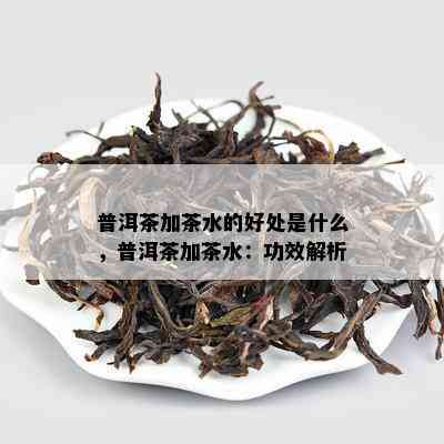 普洱茶加茶水的好处是什么，普洱茶加茶水：功效解析