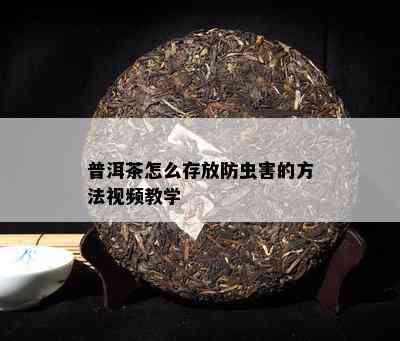 普洱茶怎么存放防虫害的方法视频教学