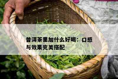 普洱茶里加什么好喝：口感与效果完美搭配