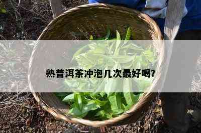 熟普洱茶冲泡几次更好喝？