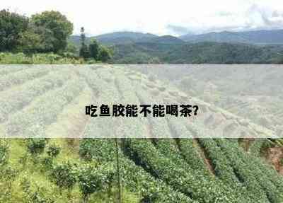 吃胶能不能喝茶？