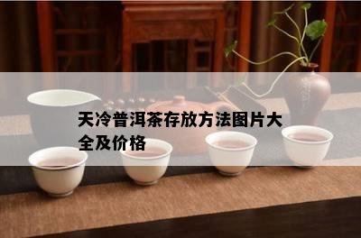 天冷普洱茶存放方法图片大全及价格