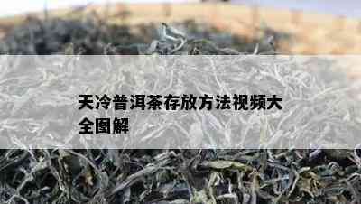 天冷普洱茶存放方法视频大全图解