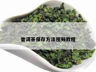 普洱茶保存方法视频教程