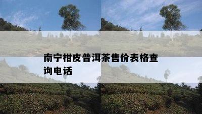 南宁柑皮普洱茶售价表格查询电话