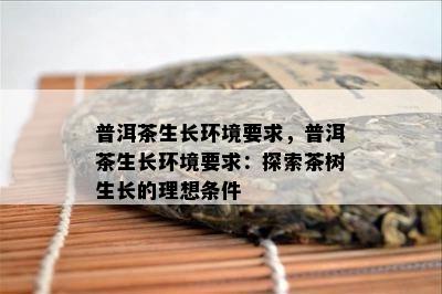 普洱茶生长环境要求，普洱茶生长环境要求：探索茶树生长的理想条件