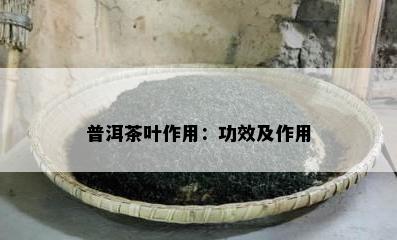 普洱茶叶作用：功效及作用