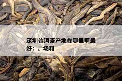 深圳普洱茶产地在哪里啊更好：、场和