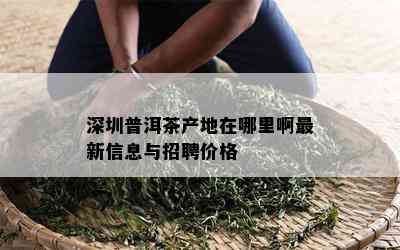 深圳普洱茶产地在哪里啊最新信息与招聘价格