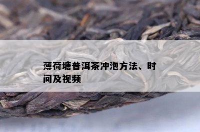 薄荷塘普洱茶冲泡方法、时间及视频