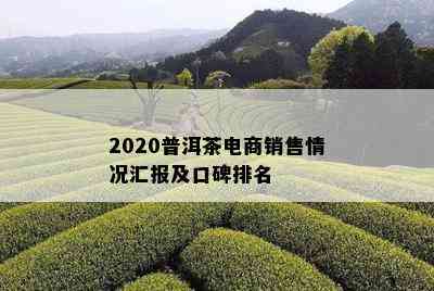 2020普洱茶电商销售情况汇报及口碑排名